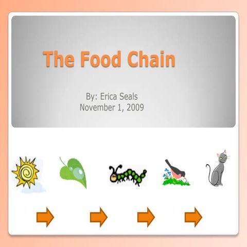 The Food Chain