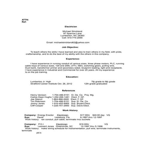 Michaels Resume | RTF