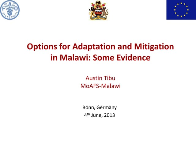 Synergies between adaptation and mitigation at country level: panel discussion + dialogue