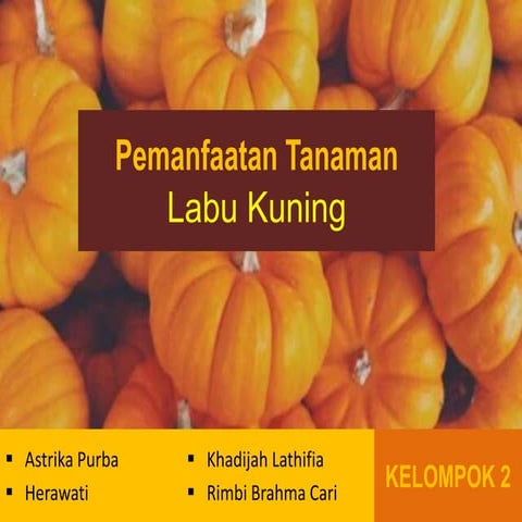 376010178-Pemanfaatan-Labu-Kuning-Edit.pptx