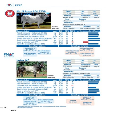 Catálogo completo dos touros da 6ª bateria do PNAT 