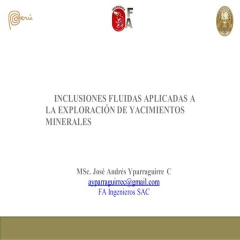 377825171 inclusiones-fluidas