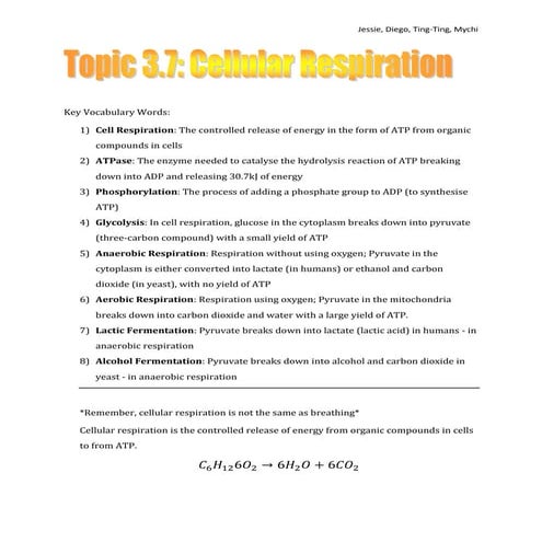 3 7 cell respiration