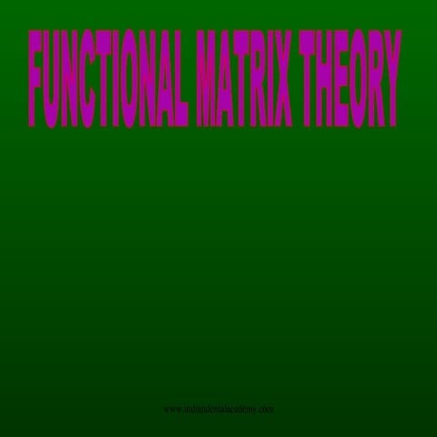 Functional matrix theory