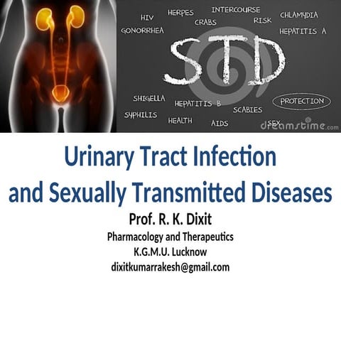 Uni urinary tract infection and sexually transmitted disease | PPT