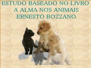 38-quartacategoria-caso10-160527152222-thumbnail-3.jpg