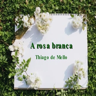 A Rosa Branca - Thiago De Mello