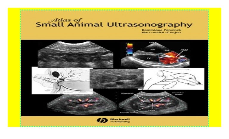 Atlas of Small Animal Ultrasonography hardcover$@@