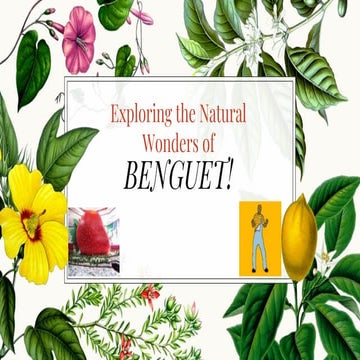 Benguet Heritage Tradition and Culture.pdf