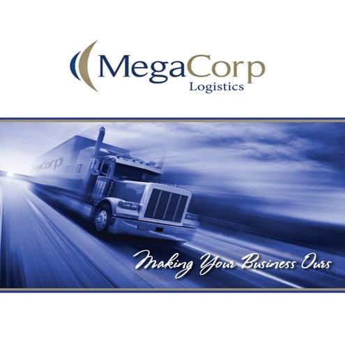 MegaCorp Overview | PDF