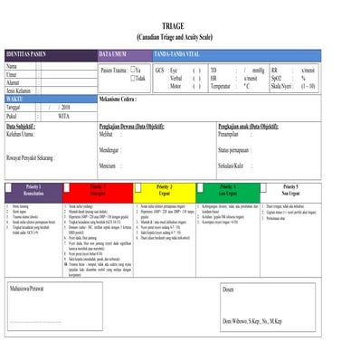 386786829-Form-TRIASE-Canada-Triage-Scale-docx.docx