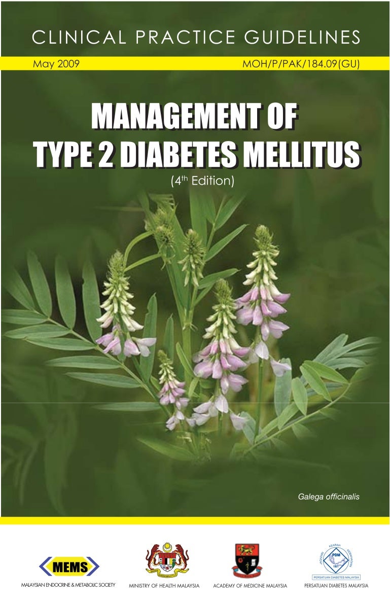 management of diabetes mellitus type 2