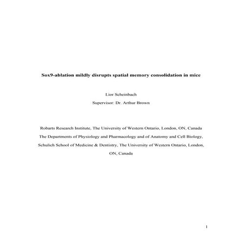 Scheinbach_Lior_Thesis