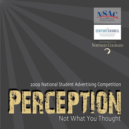 Perception Final plans book