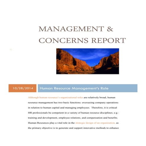 Management Report