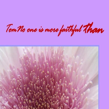 38 lilac postit card sets