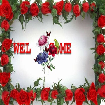 EFFECT OF LIQUID BIO-FERTILIZERS ON GROWTH, YIELD AND QUALITY OF PULSES 