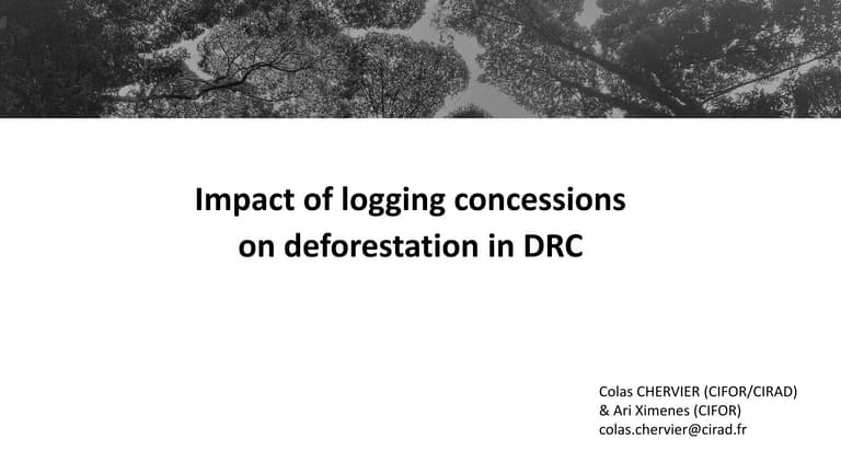 thumbnail of  Impact of logging concessions on deforestation in DRC
