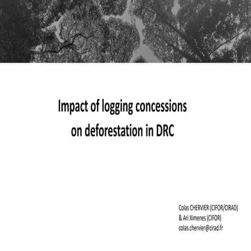Impact of logging concessions  on deforestation in DRC