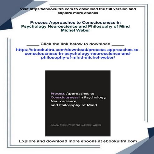 Process Approaches to Consciousness in Psychology Neuroscience and Philosophy of Mind Michel Weber