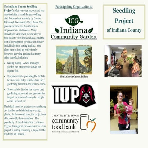 Seedling distribution brochure | PDF