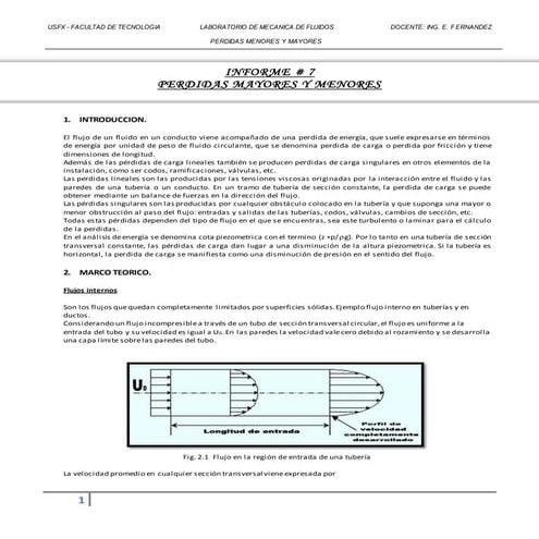 397247329 7-perdidas-mayores-y-menores