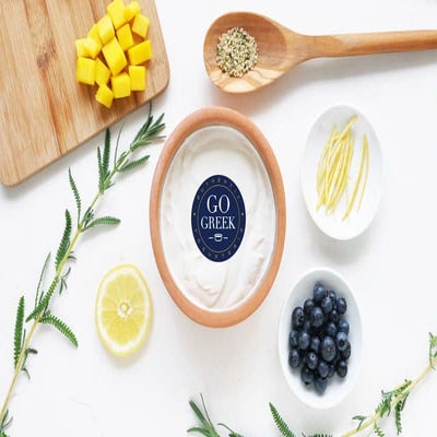 MVC_Portfolio-GoGreekYogurt_v2