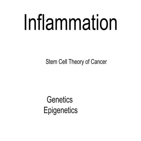 Role of Inflammation, Genetics, Epigenetics, and Stem Cells in Tumorigenesis