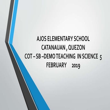399329295-Ppt-Presentation-weather-Disturbances.pptx