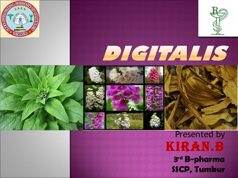 DIGITALIS the glycosidal drug