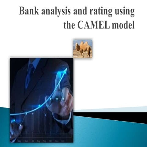 Bank analysis and rating using the CAMEL model