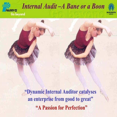 3a  2   Internal Audit   A Bane Or Boon