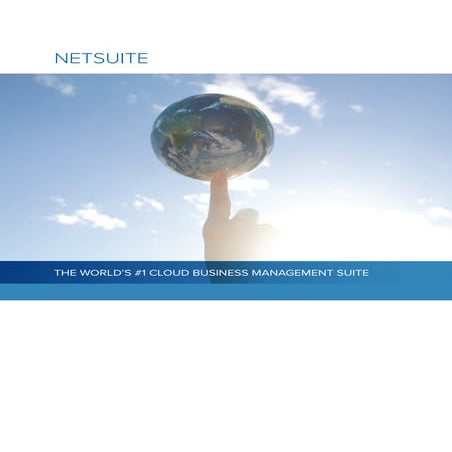 Netsuite Business Management Suite - Brochure