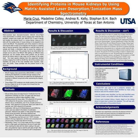 09_MALDI tof principal of mass spectrometry | PDF