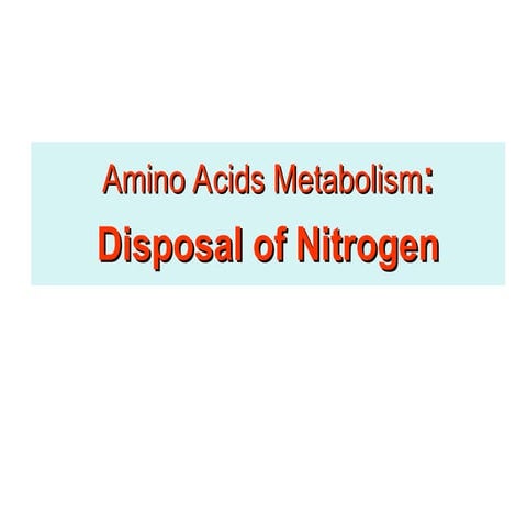 amino acids metabolism, nitrogen balance