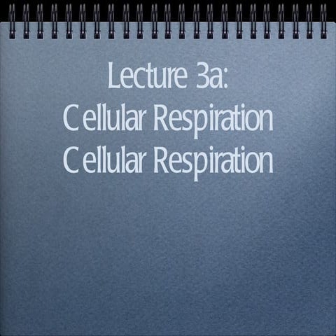3a; cellular respiration