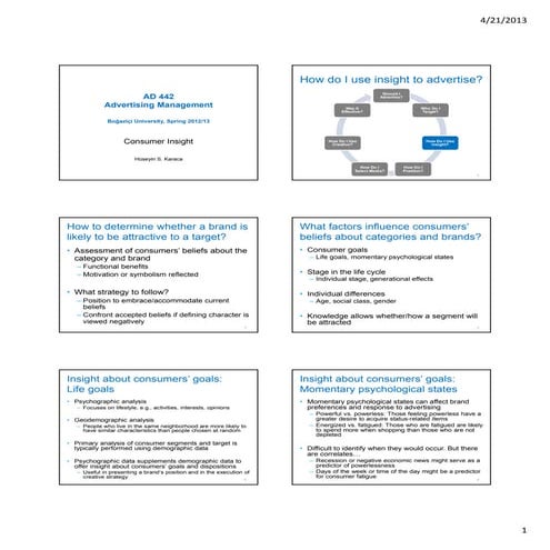 Advertising consumer insight