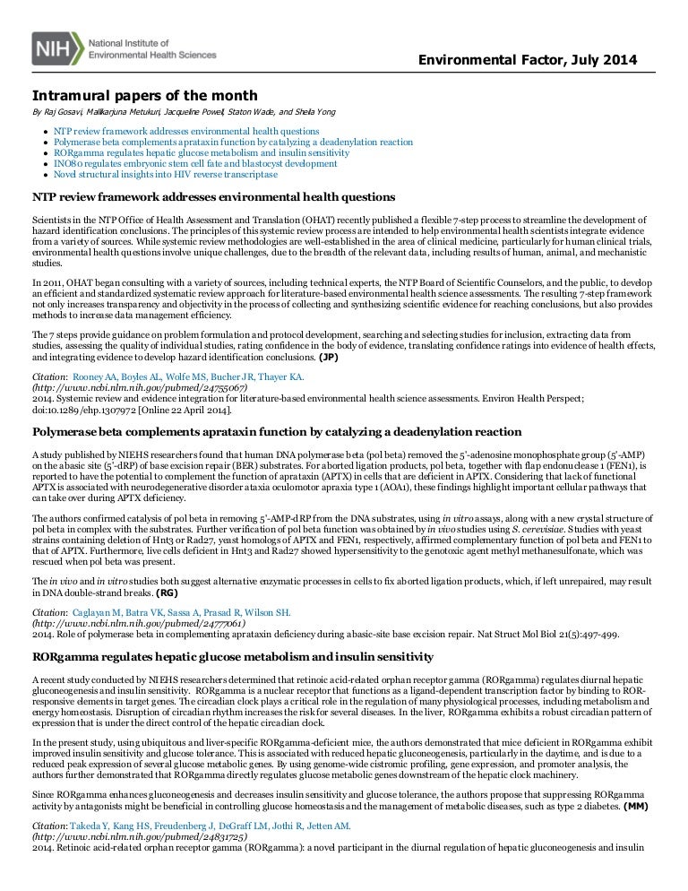 Essay about intramurals experience picture