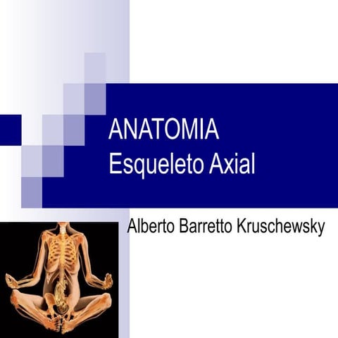 3) anatomia (esqueleto axial 1)
