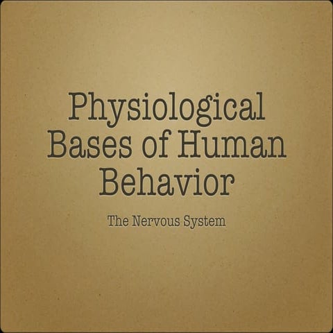 3 a nervoussystem 1.1