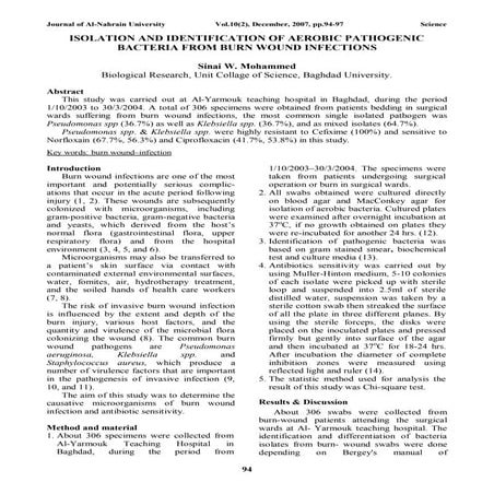 ISOLATION AND IDENTIFICATION OF AEROBIC PATHOGENIC BACTERIA FROM BURN ...