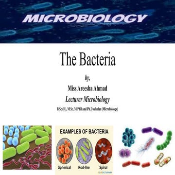 DPT - Bacterial forms and function