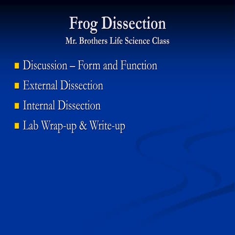 Frog Dissection