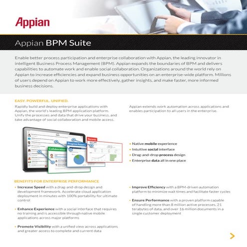 ap_appianbpm_datasheet_web