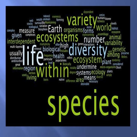 3 biodiversity and its conservation  edited