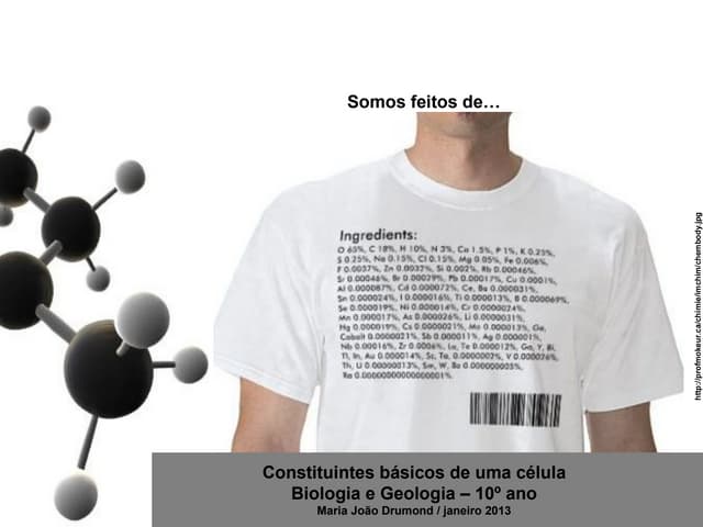 3 biomoléculas