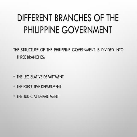 Topic on the Three Branches of Government