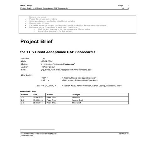 Example-Project Brief