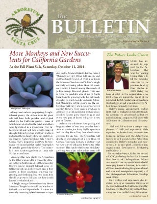 The Most Overlooked Solution For Navigate To This Web-site On Succulents For Sale