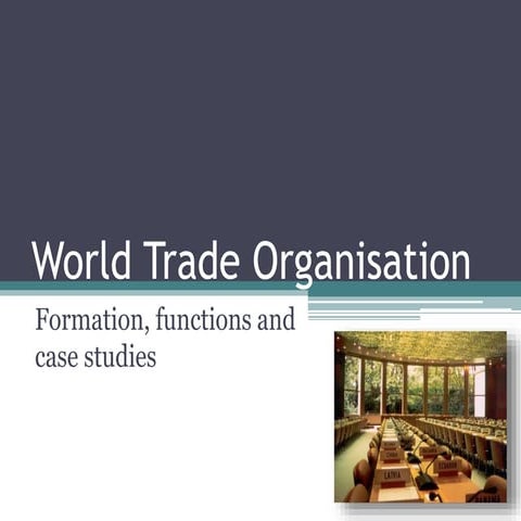 IPE - World Trade Organisation
